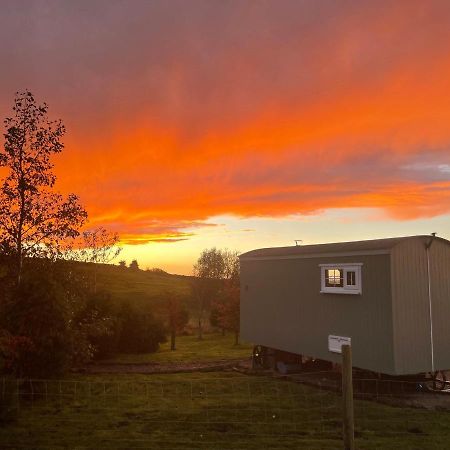 The Buteland Stop Rosie Off Grid Shepherds Hut Беллингхем Экстерьер фото