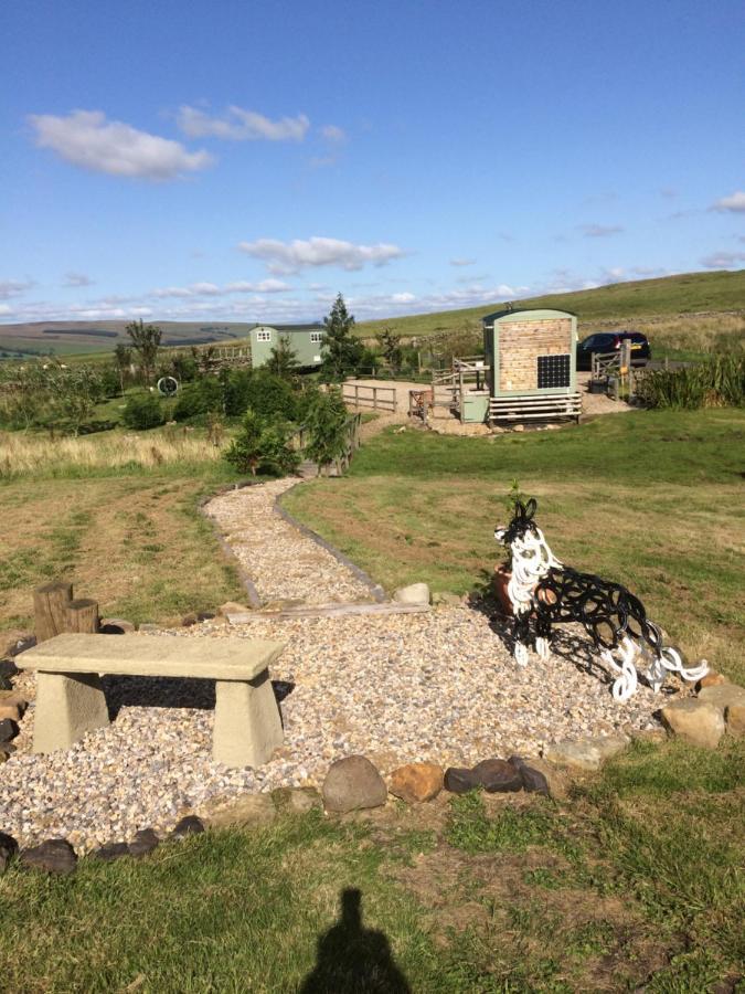 The Buteland Stop Rosie Off Grid Shepherds Hut Беллингхем Экстерьер фото