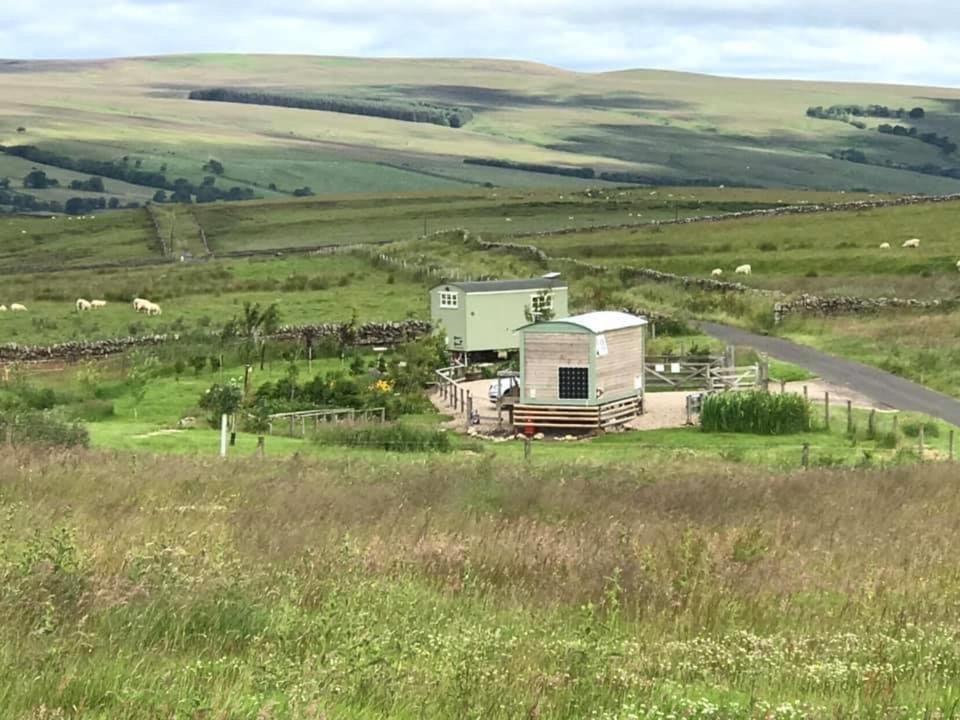 The Buteland Stop Rosie Off Grid Shepherds Hut Беллингхем Экстерьер фото