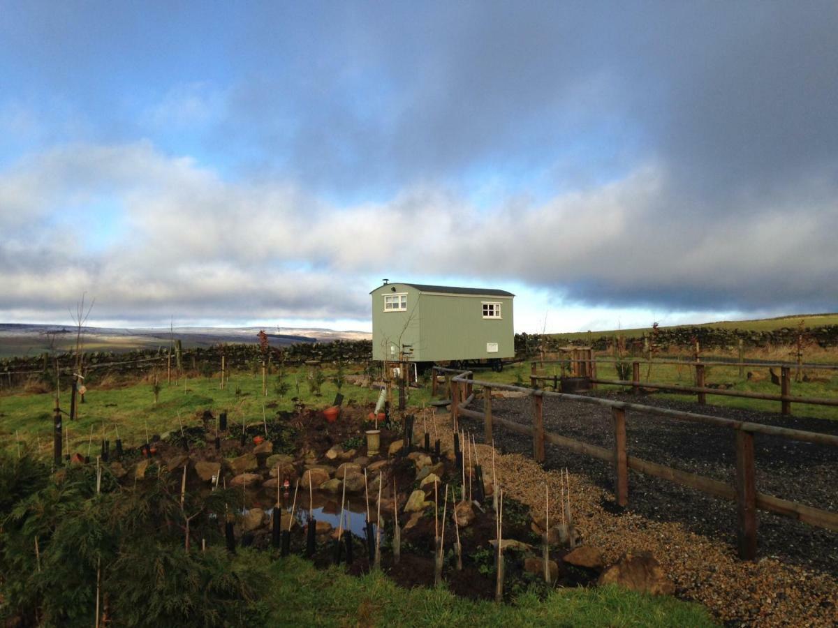 The Buteland Stop Rosie Off Grid Shepherds Hut Беллингхем Экстерьер фото