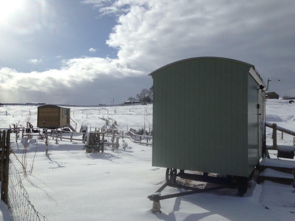 The Buteland Stop Rosie Off Grid Shepherds Hut Беллингхем Экстерьер фото