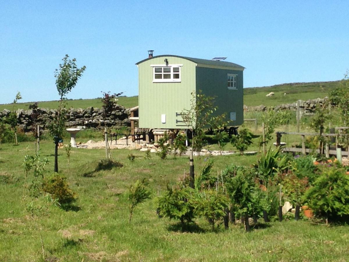The Buteland Stop Rosie Off Grid Shepherds Hut Беллингхем Экстерьер фото