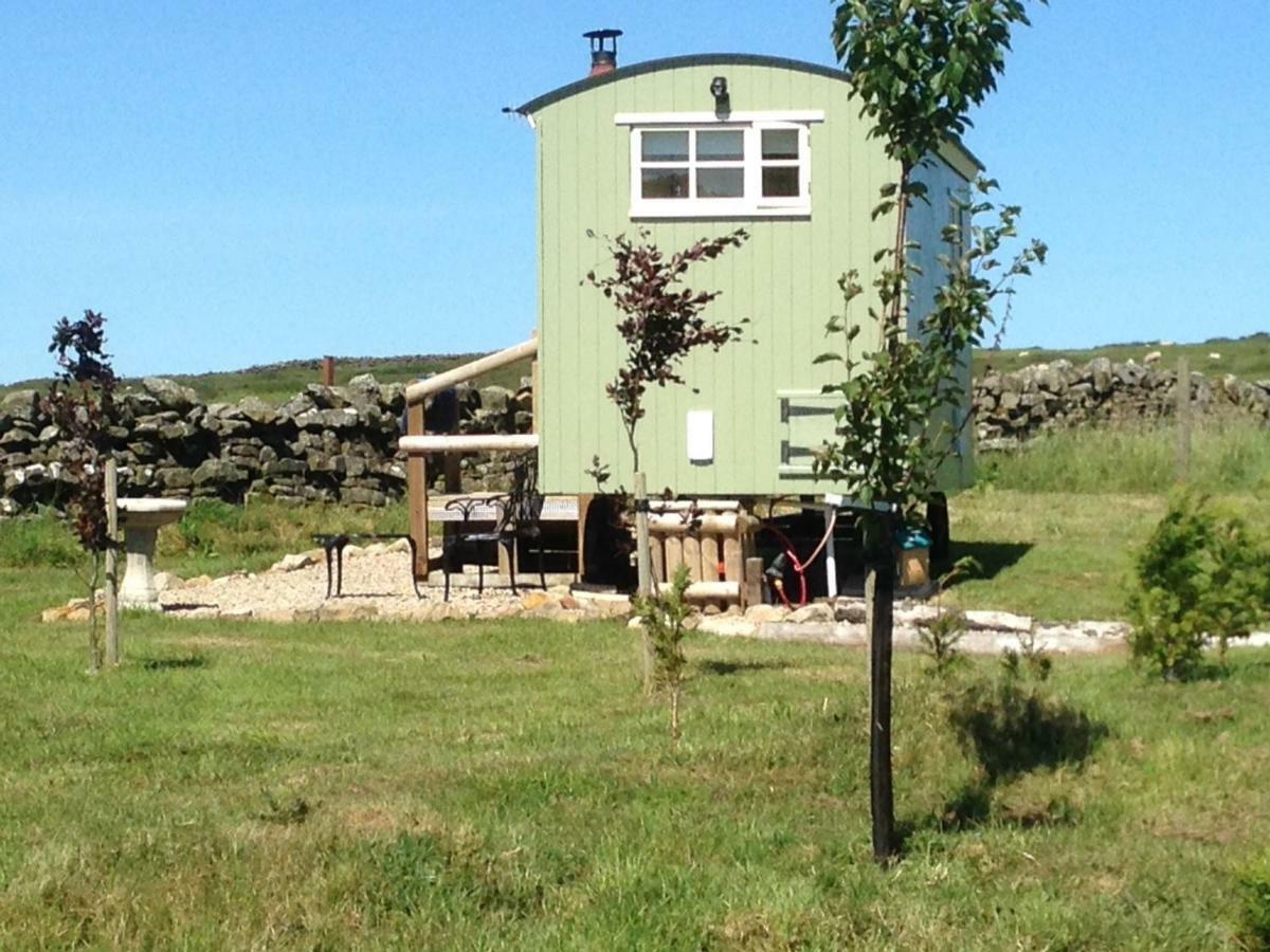 The Buteland Stop Rosie Off Grid Shepherds Hut Беллингхем Экстерьер фото